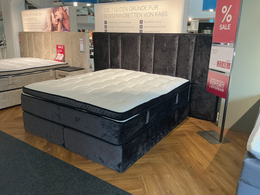 Boxbett "Tahir" I Wandsbek